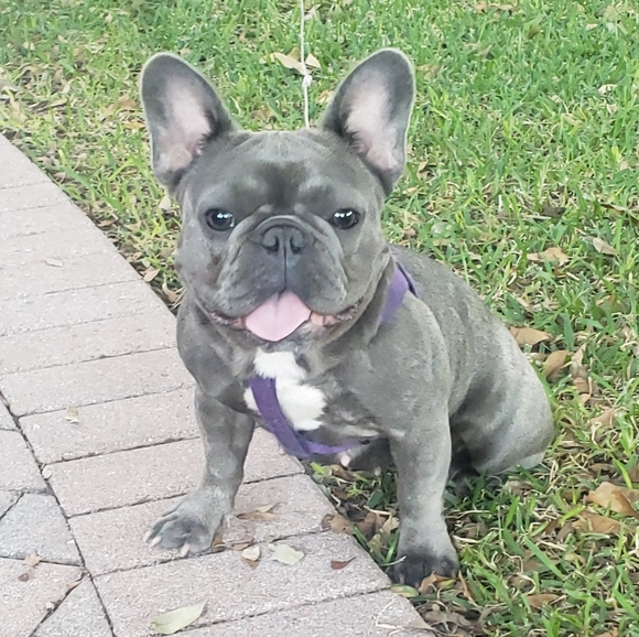 Meet your Posher, Lacritia - Picture 8 of 8